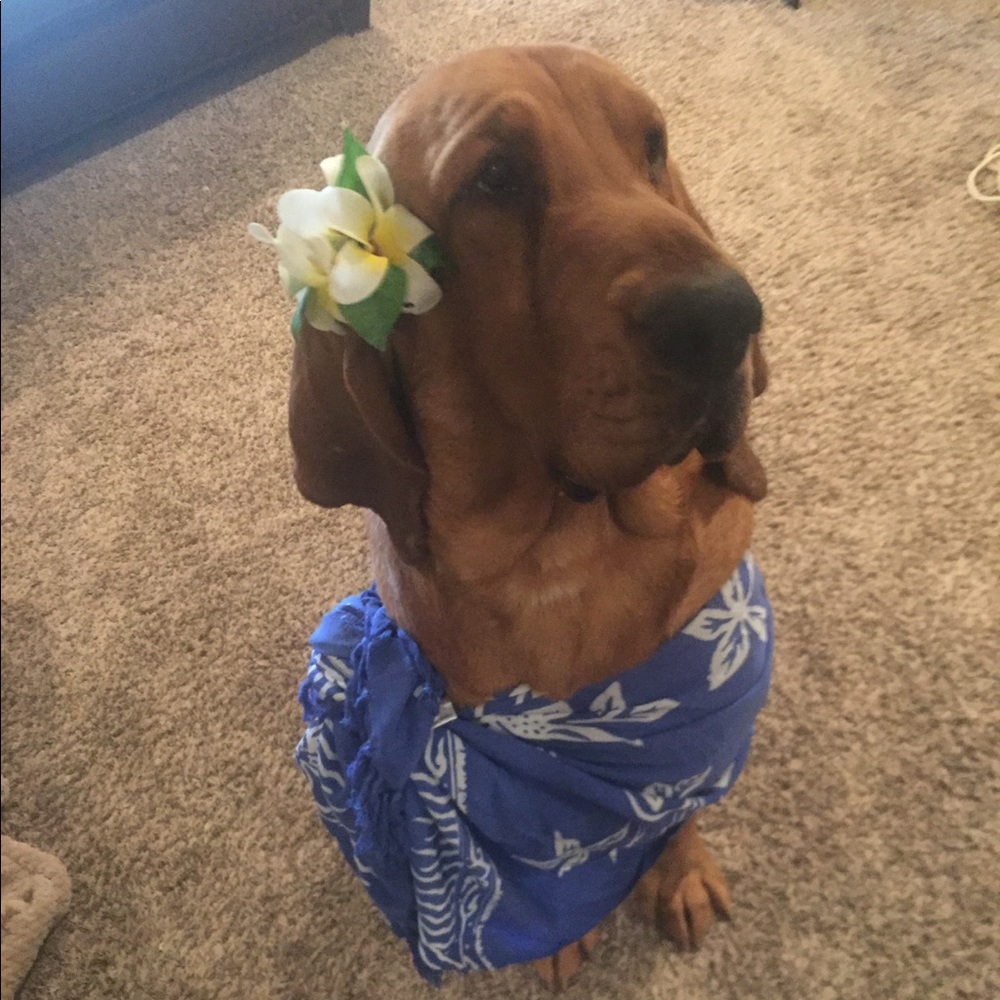 Meet your Posher, Kaycee